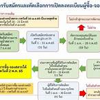 วิธีลงทะเบียนผู้ค้าสลากรายใหม่ 2565